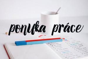 Ponuka práce - chyžná/pomocná sila 1